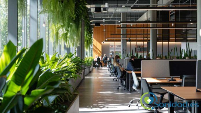 importancia del bienestar sostenible