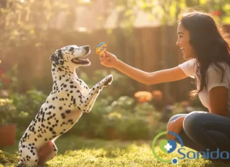 razones para contratar un seguro veterinario para perros