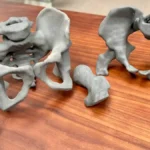 Modelos anatómicos impresos en 3D