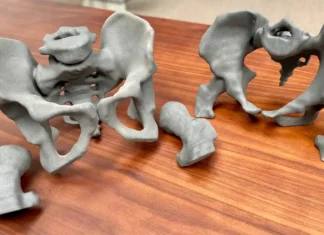 Innovación ‘made in Valencia’: Additium 3D desarrolla soluciones 3D para hospitales públicos y privados Modelos anatómicos impresos en 3D