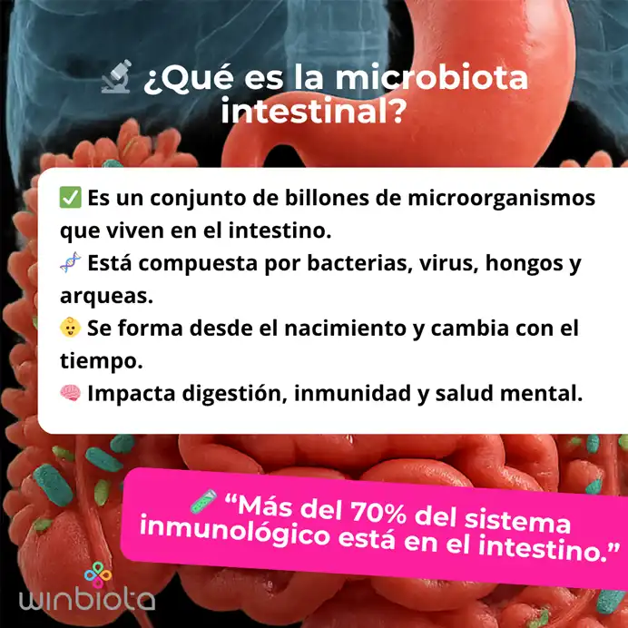 Qué es la microbiota intestinal y por qué debería importarte infografía