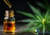 CBD explicado: ¿Cómo podría ayudarte a mejorar tu bienestar? beneficios del CBD para el bienestar general