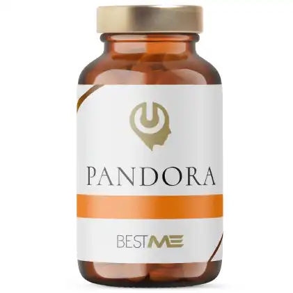 Pandora de Bestme Lab