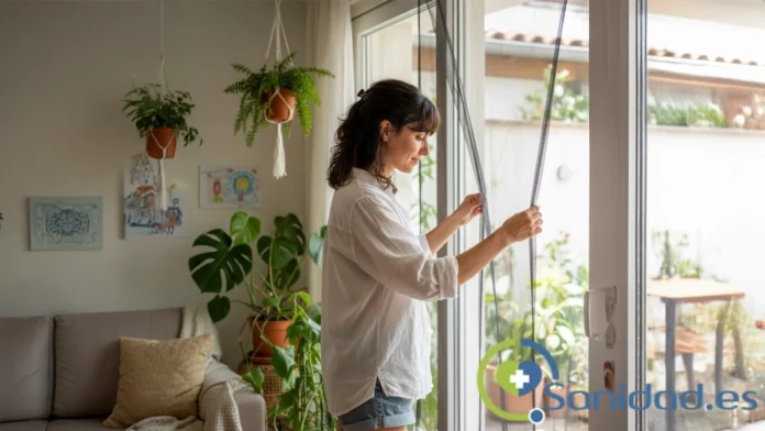 Cómo prevenir mosquitos en casa en España Cómo prevenir mosquitos en casa en España