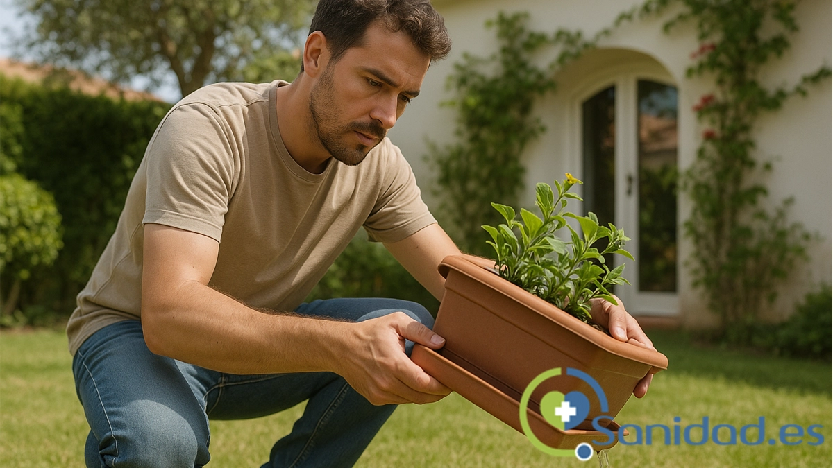 Elimina el agua estancada tu primera línea de defensa contra los mosquitos