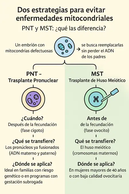 PNT y MST infografía