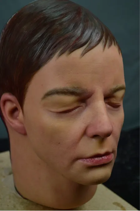 Realismo anatómico aplicado a la formación sanitaria