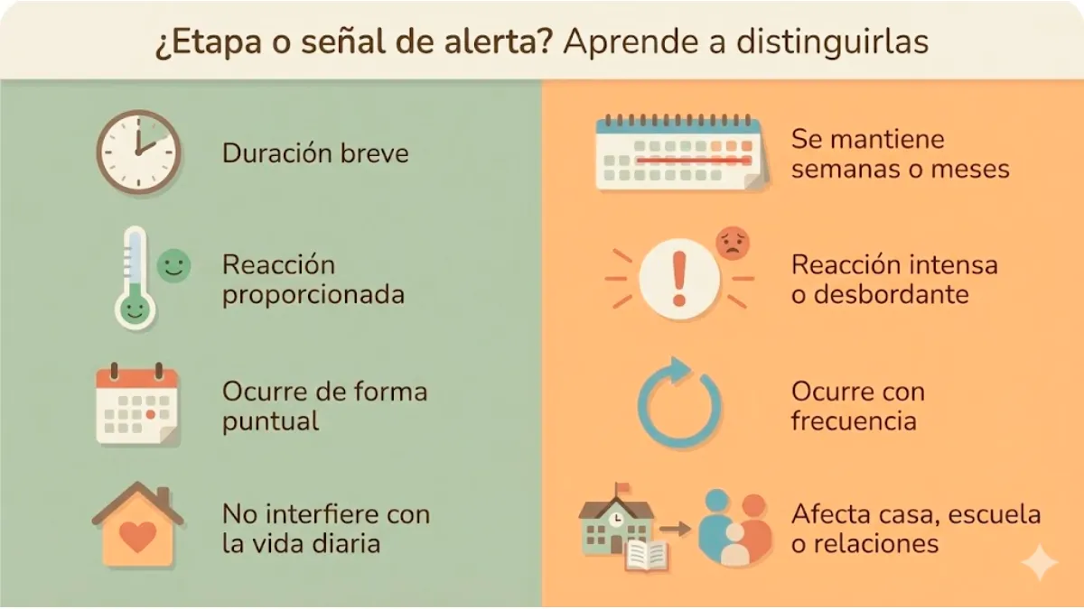 etapa o señal de alerta infografía