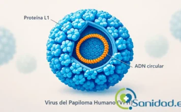 qué es el virus del papiloma humano