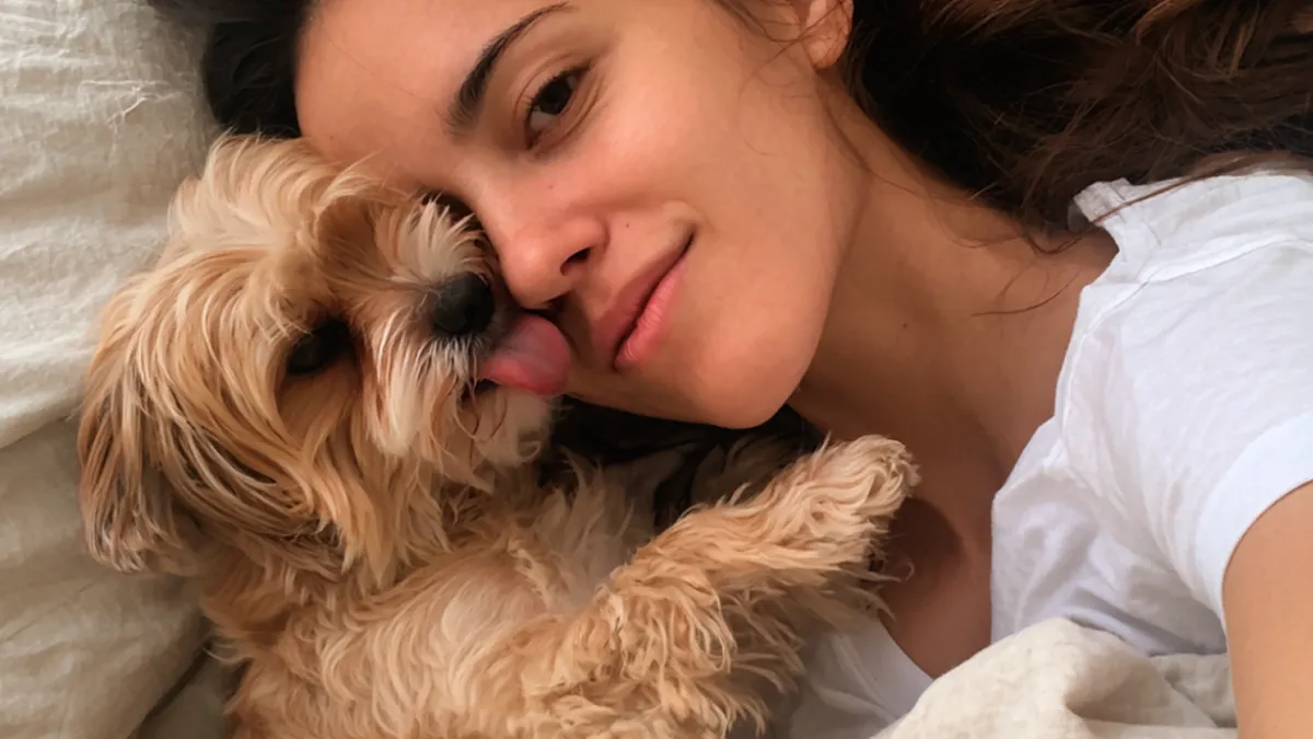 cuando merece la pena un seguro para perros